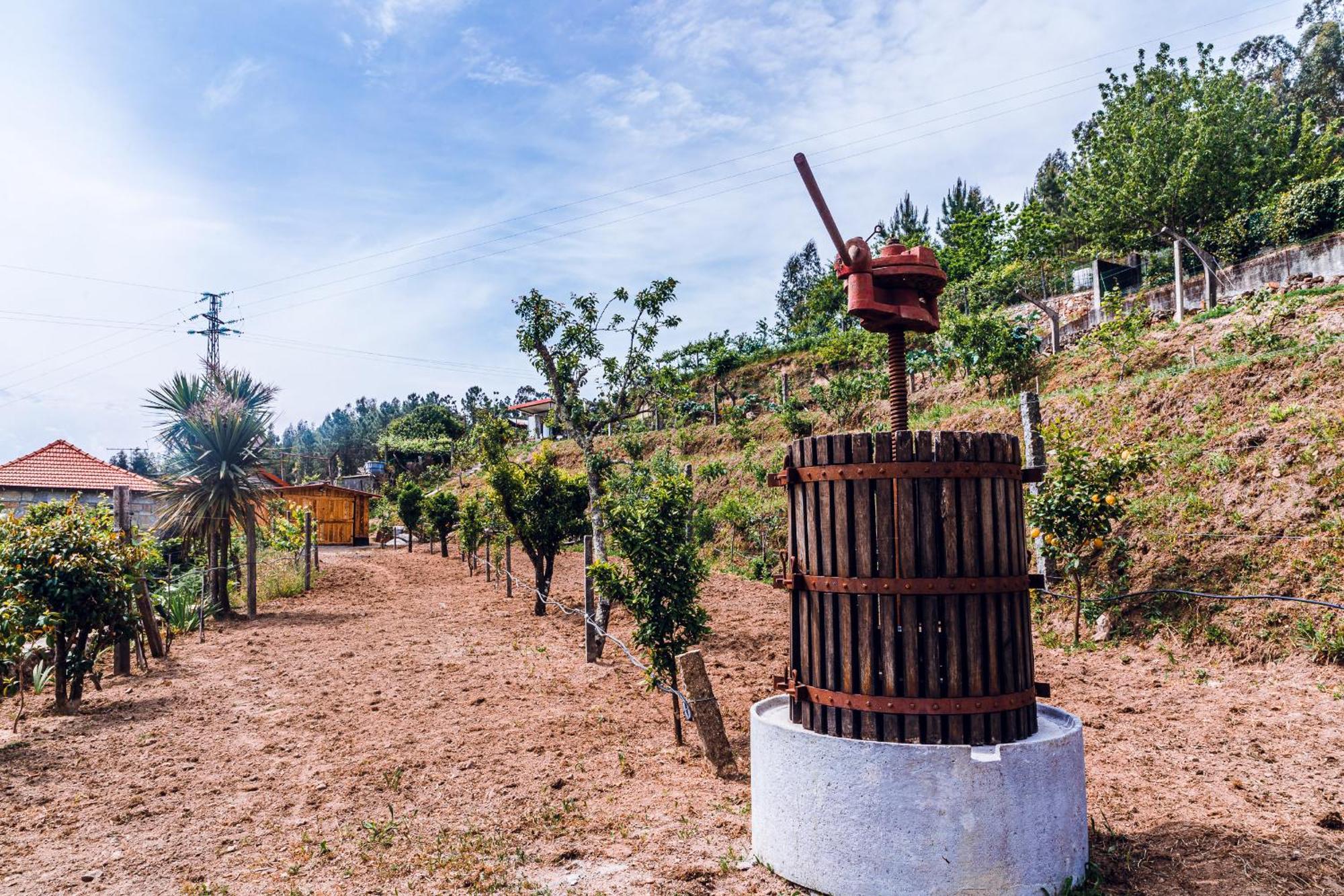 Penzion A Casa Dos Avos Celorico De Basto Exteriér fotografie